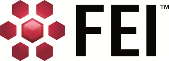 www.FEI.com FEI